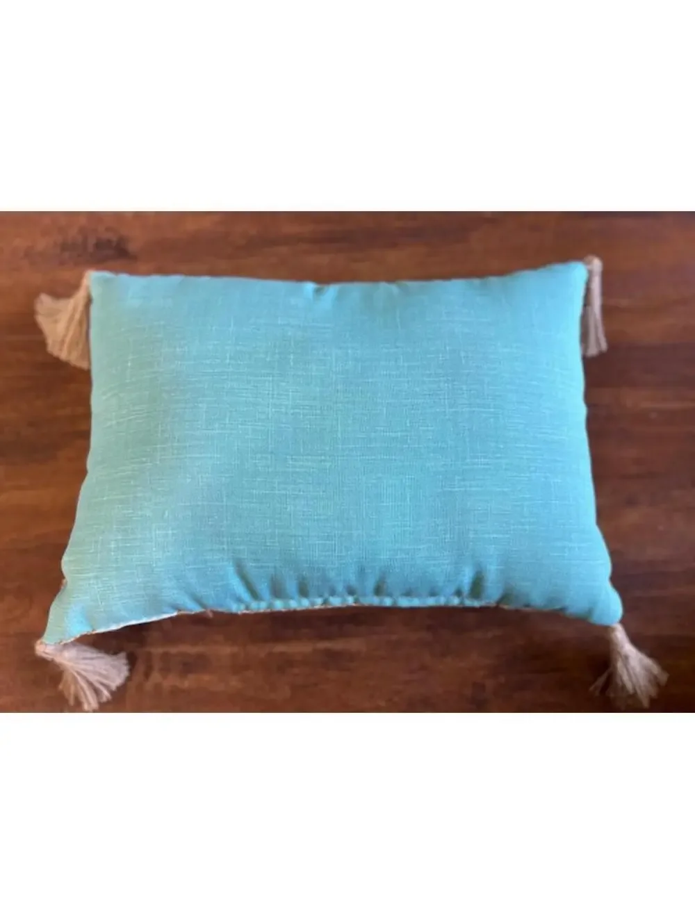 Sunkissed Embroidered Decorative Throw Pillow with Tassels